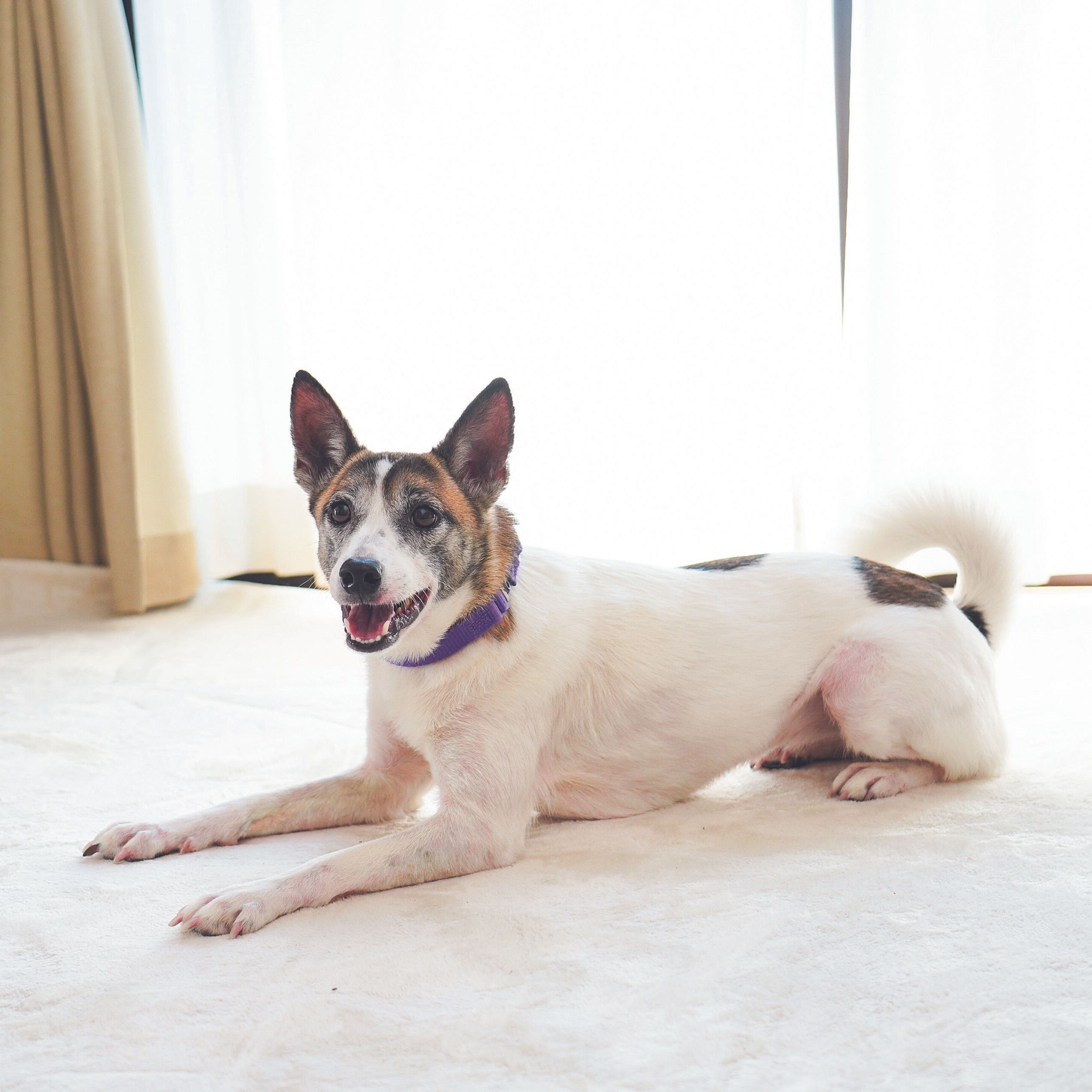 撮影／殿村忠博