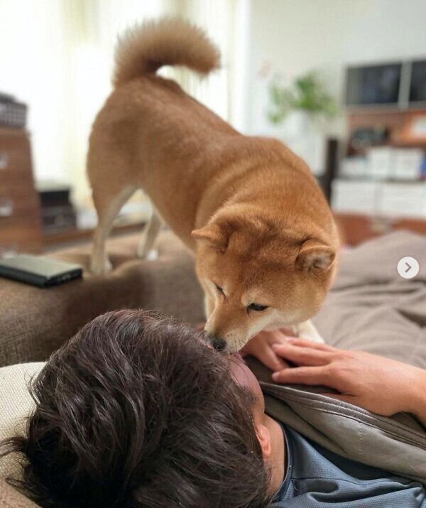 パパさんのことが大好きなマメちゃん