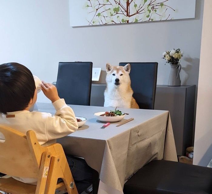 息子さんのことを見守るタロウくん
