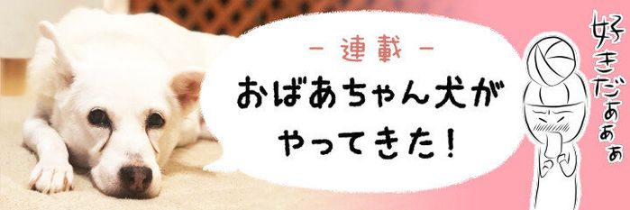 いぬのきもちWEB MAGAZINE連載『おばあちゃん犬がやってきた』