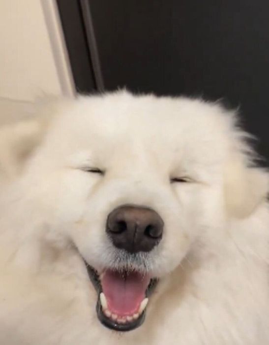 ルークくんも楽しそう!