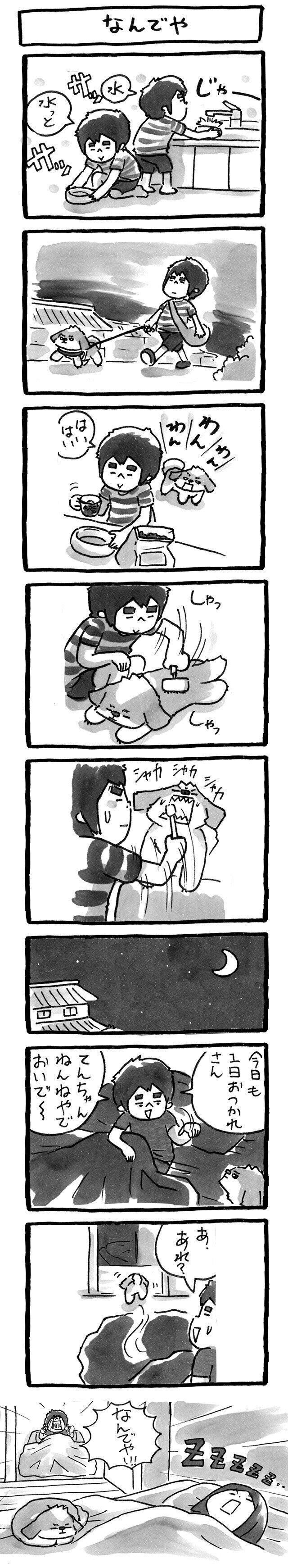 シーズー犬マンガてんぽshihtzu