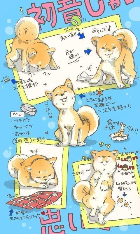 初音カラーイラスト