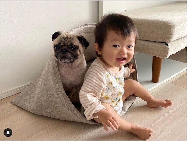 見つめるおまめくんと、おとーとくん