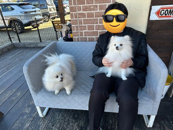 「パパのおひざをとられてしまった」コロ太くん お友達の愛犬の表情もたまらない
