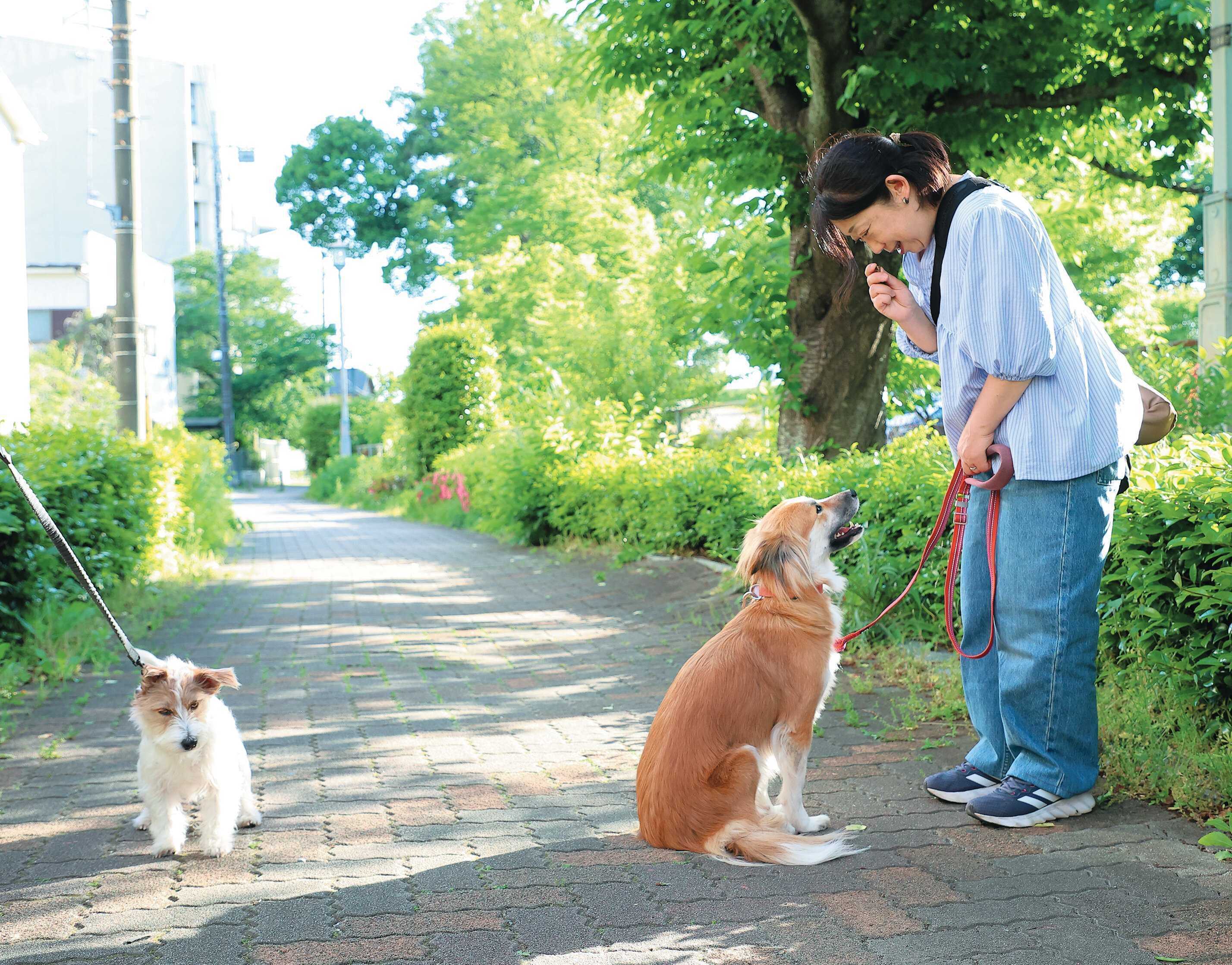 警戒してじっとみてしまう場合