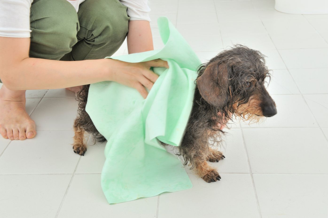 専門家もおすすめ 犬のお風呂 シャンプー の入れ方 注意点 いぬのきもちweb Magazine 専門家もおすすめ 犬のお風呂 シャンプー の入れ方 注意点 いぬのきもちweb Magazine