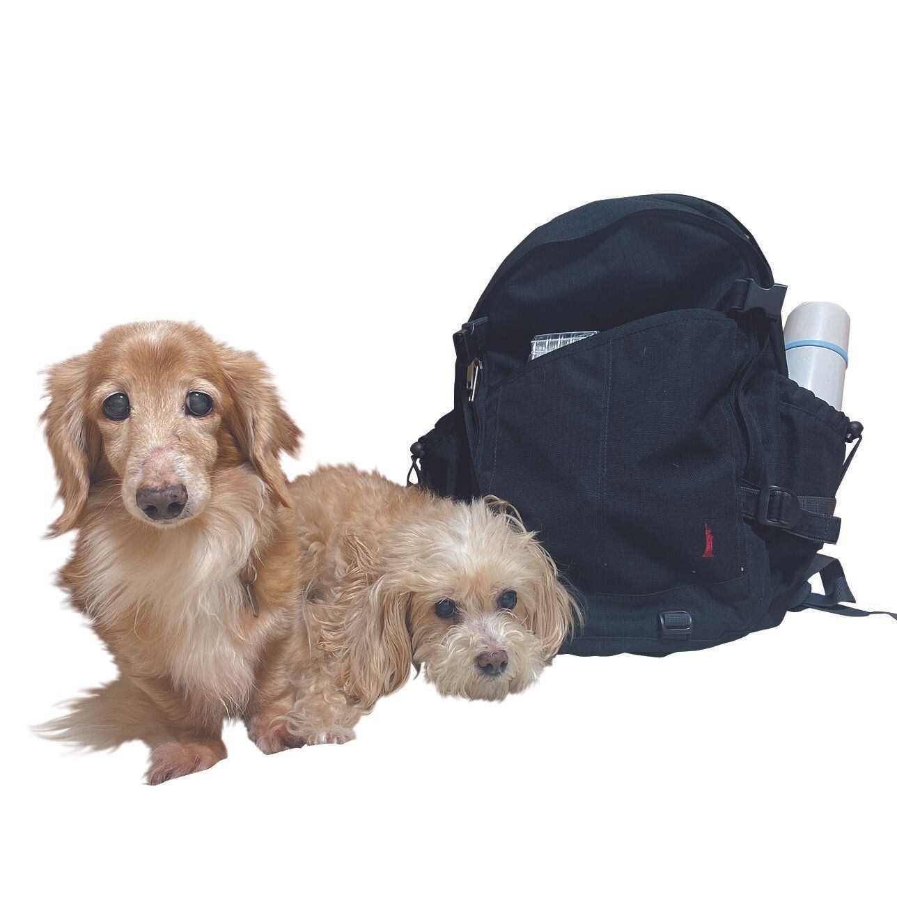 基本の防災アイテムも点検を