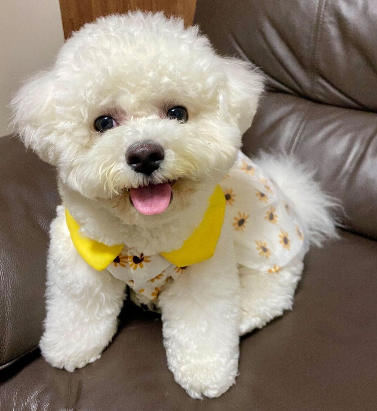 笑顔が可愛いぶんちゃん。