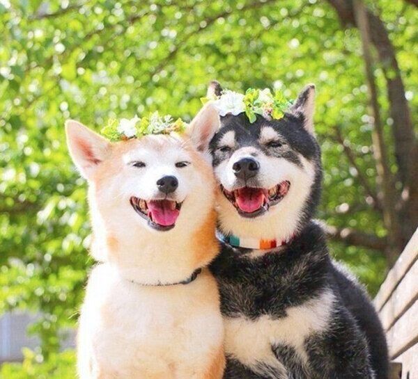 笑顔のゆりあちゃん、けんしろうくん