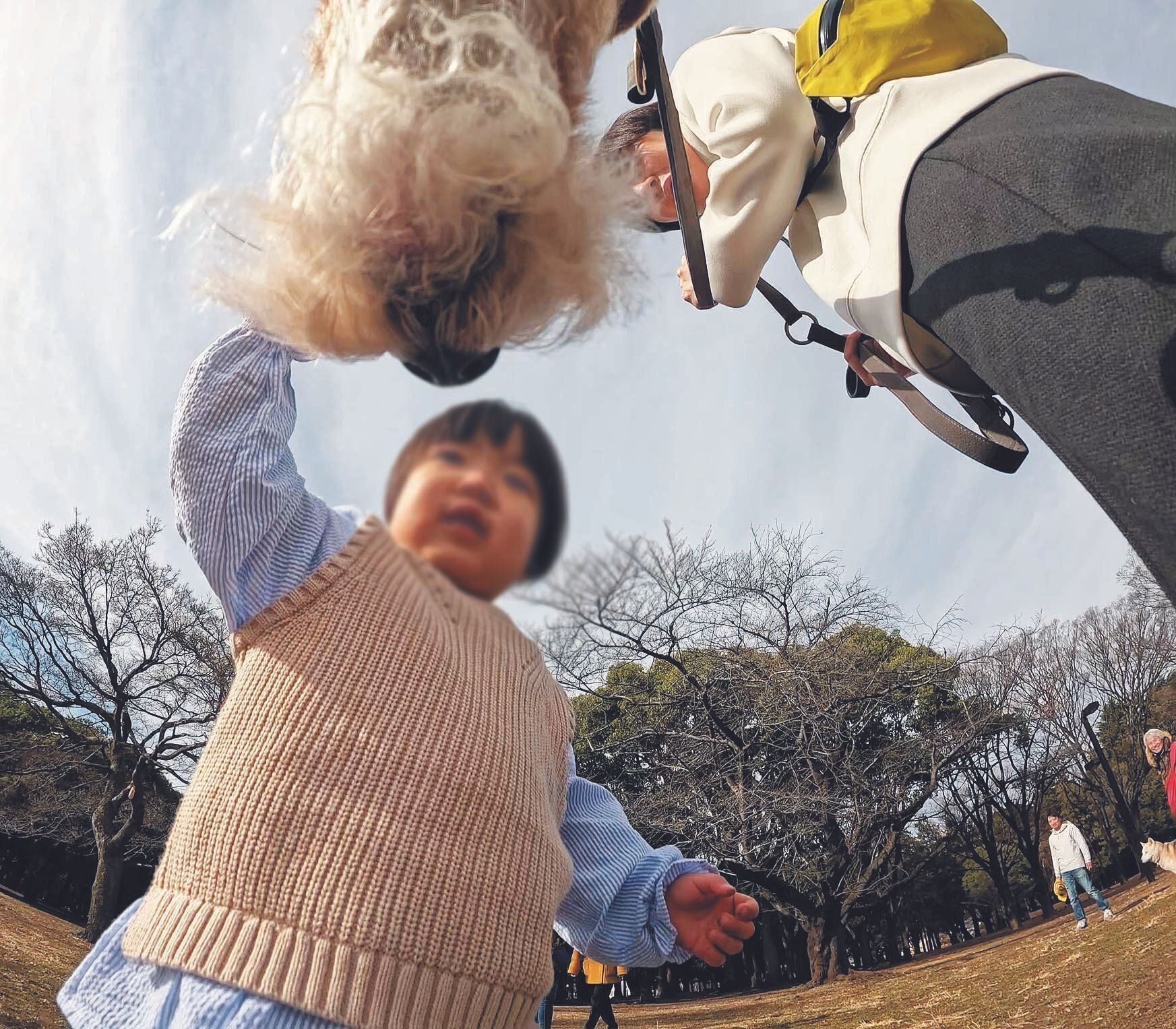 ミステリアスな存在