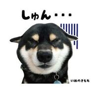 トクちゃんのスタンプ