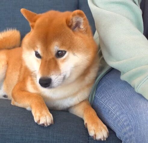 はちくん