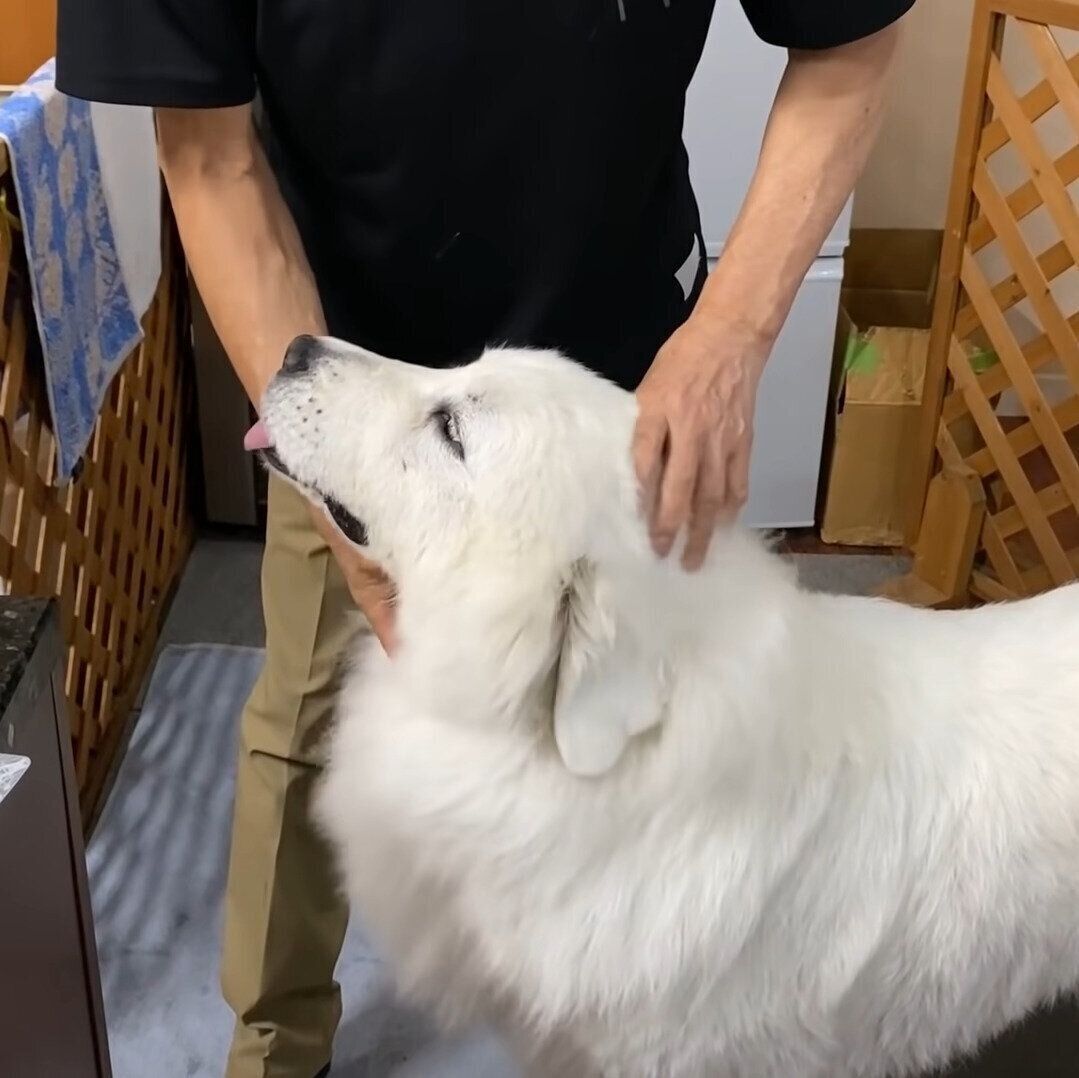 お薬をもらっているルンルンちゃん