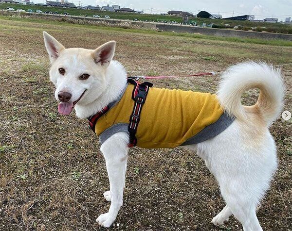 笑顔のタクローくん