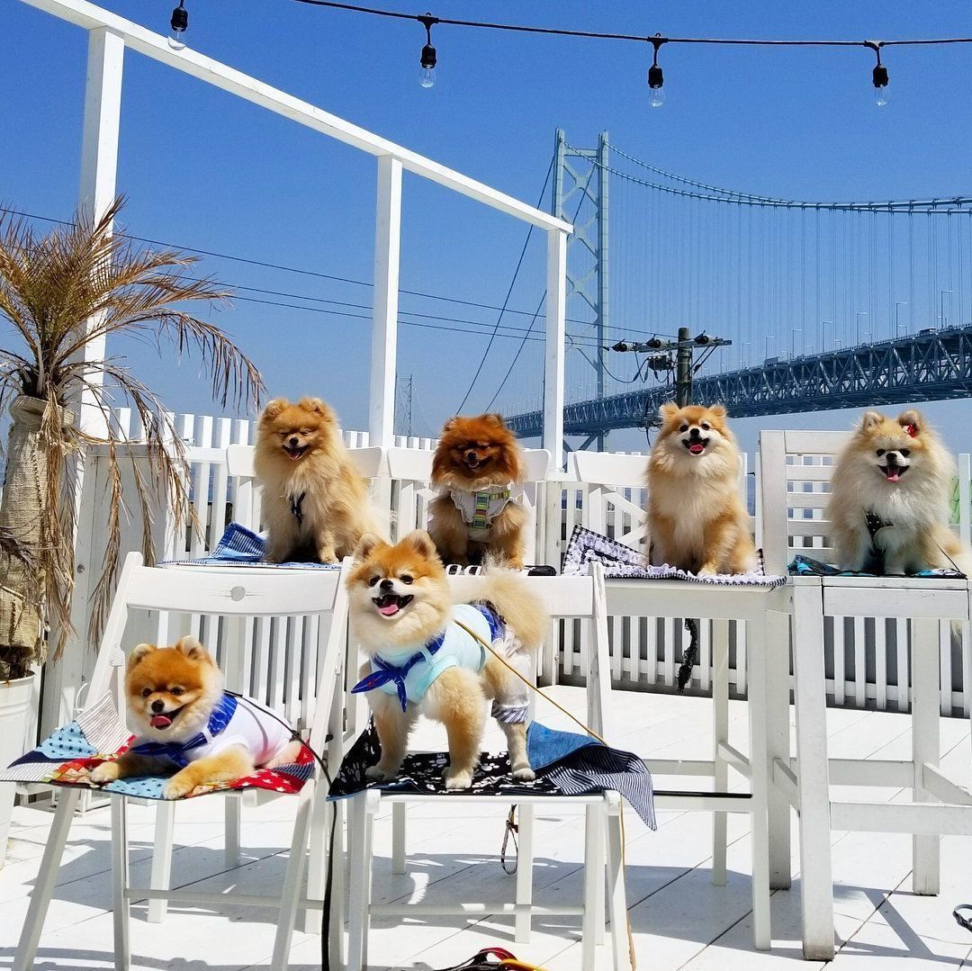 CAFE ＆ SELECTSHOP La mer