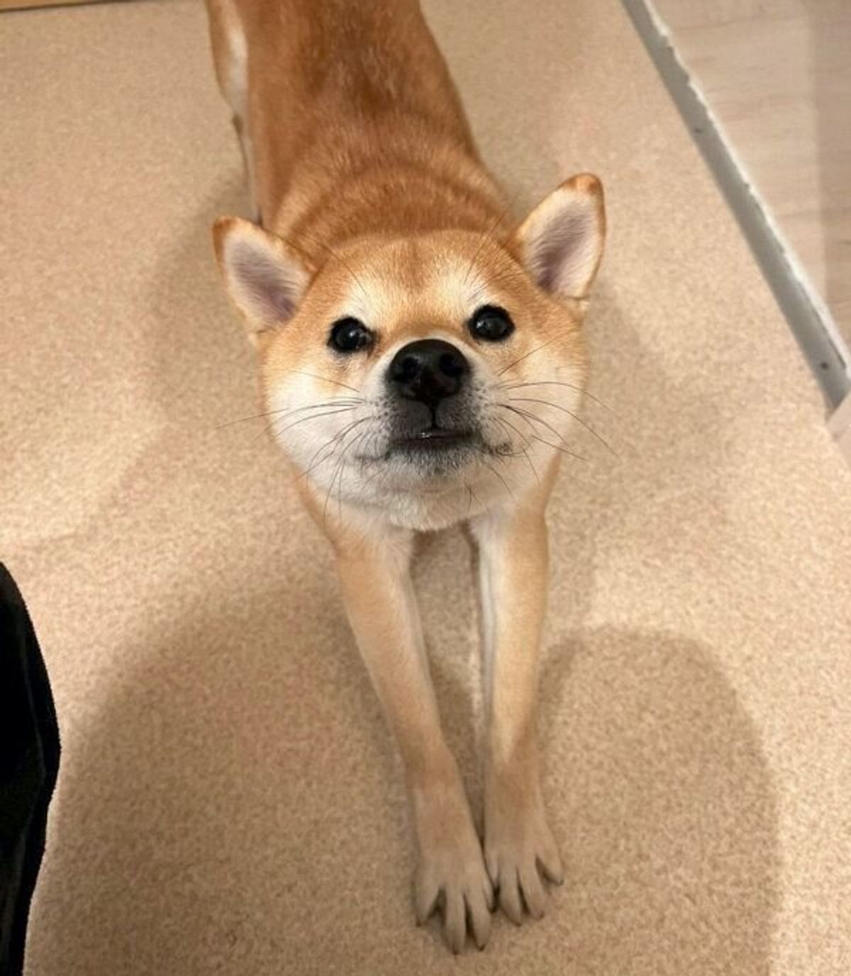 Nedi3ebbnz2dwm Nedi3ebbnz2dwm