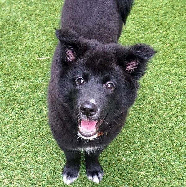 見つめるノアくん