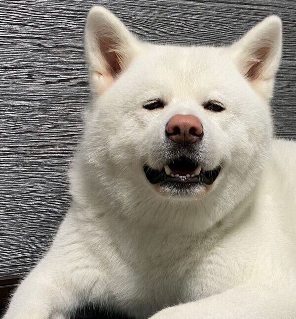 笑顔が可愛いもんたろうくん