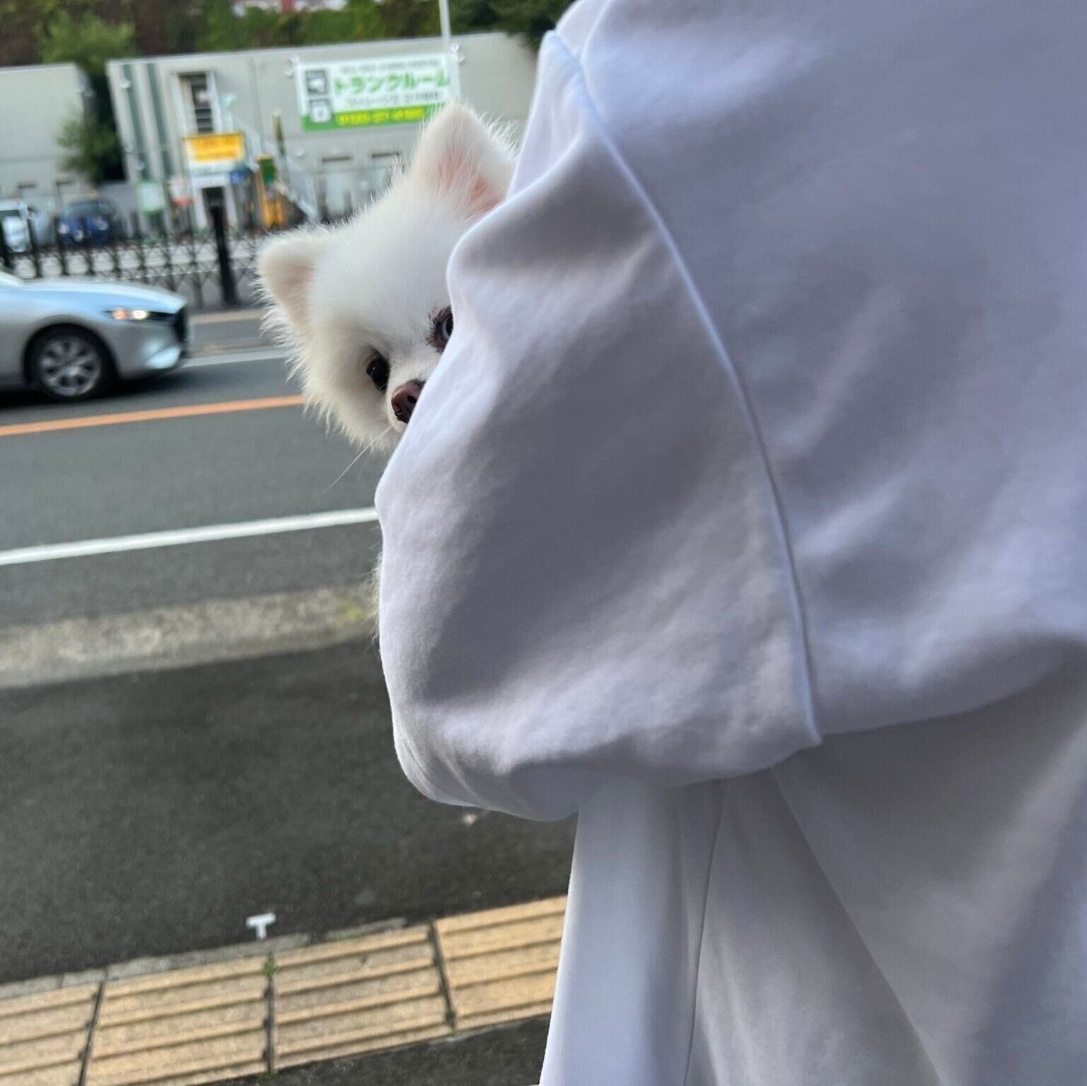 パパに抱っこをされる太郎くん