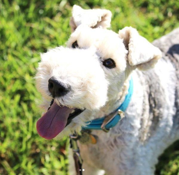 笑顔のこっぺぱんちゃん