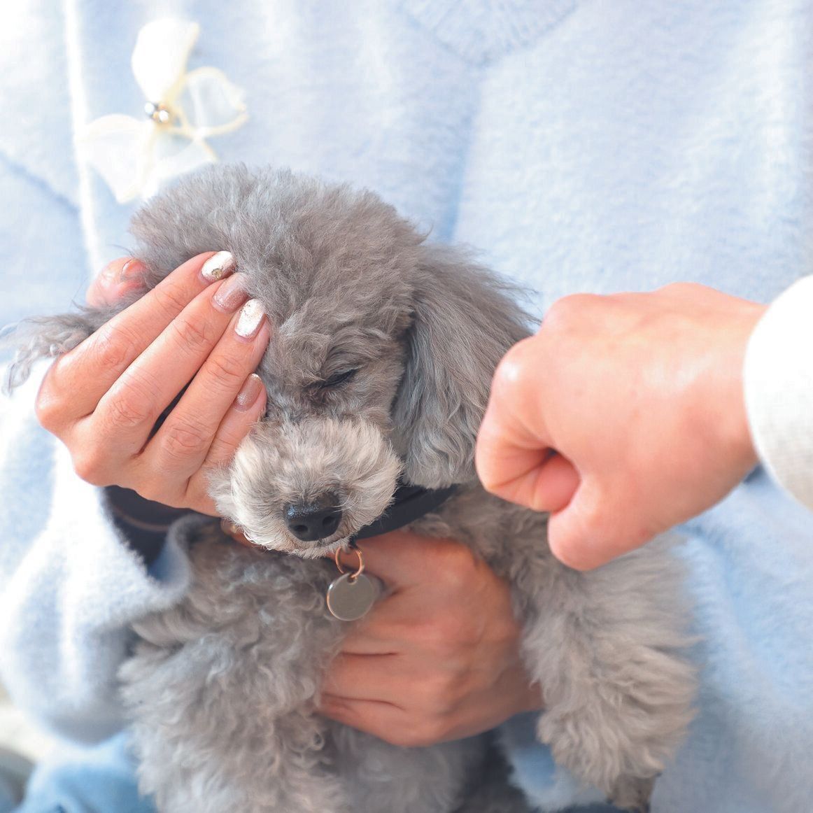 撮影／尾﨑たまき