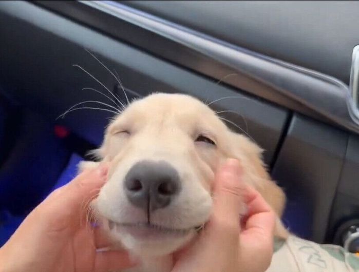 ニコニコとした“満面の笑み”がかわいらしい(止まった車内で撮影)