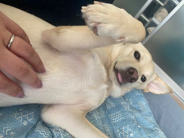 くつろぐみらいくん