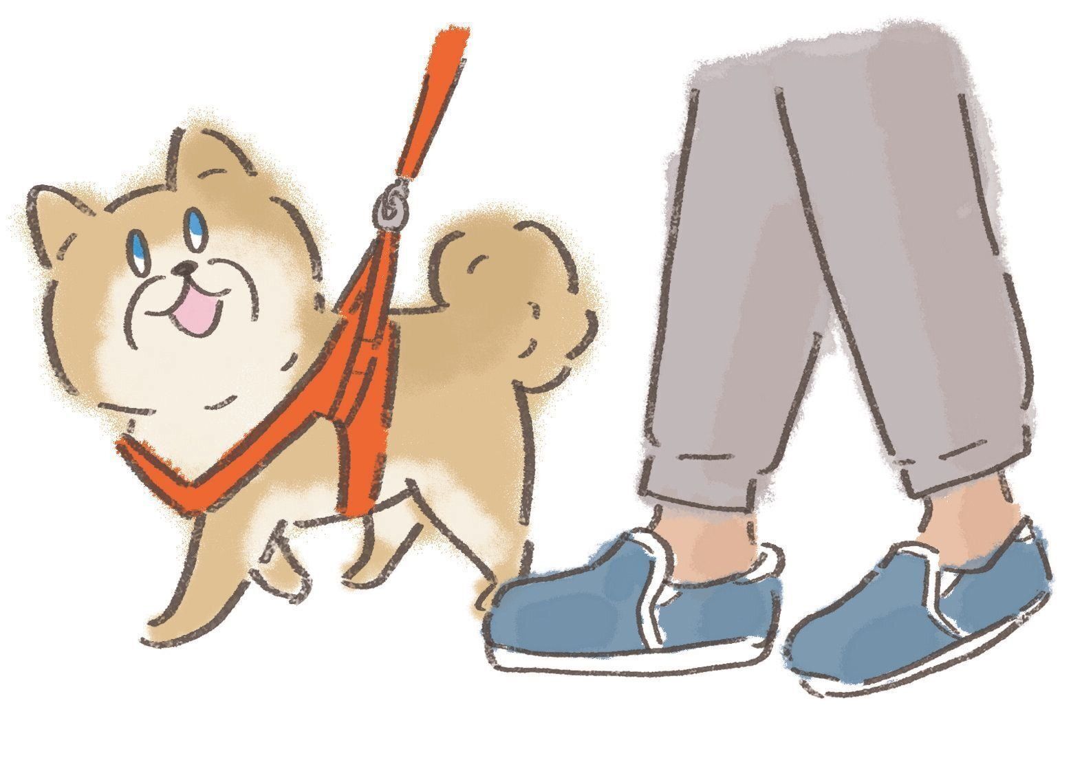 イラスト／セツサチアキ