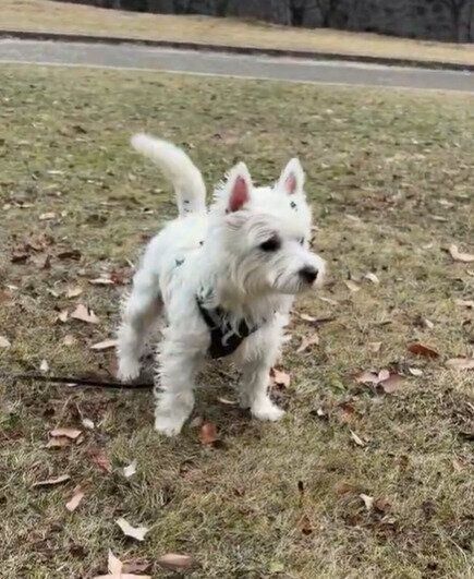 体のあちこちに葉っぱや土が……