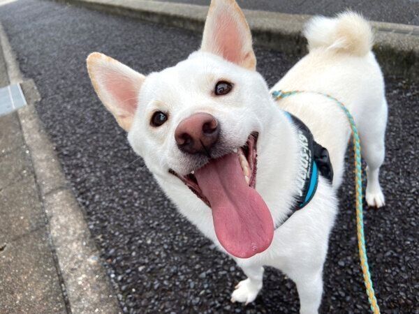 笑顔のおこめくん