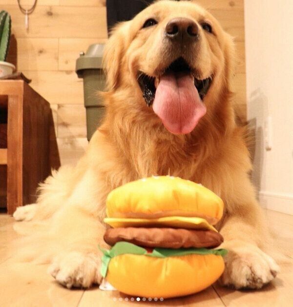 笑顔のモッシュくん