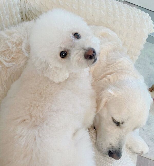 仲良しなむうくん、めるくん