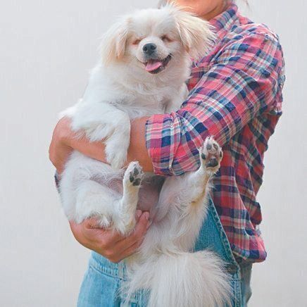 神奈川県のSさん宅に迎えられたムゥくん（オス・１才／6.8kg／ミックス／ポジティブでやさしい）