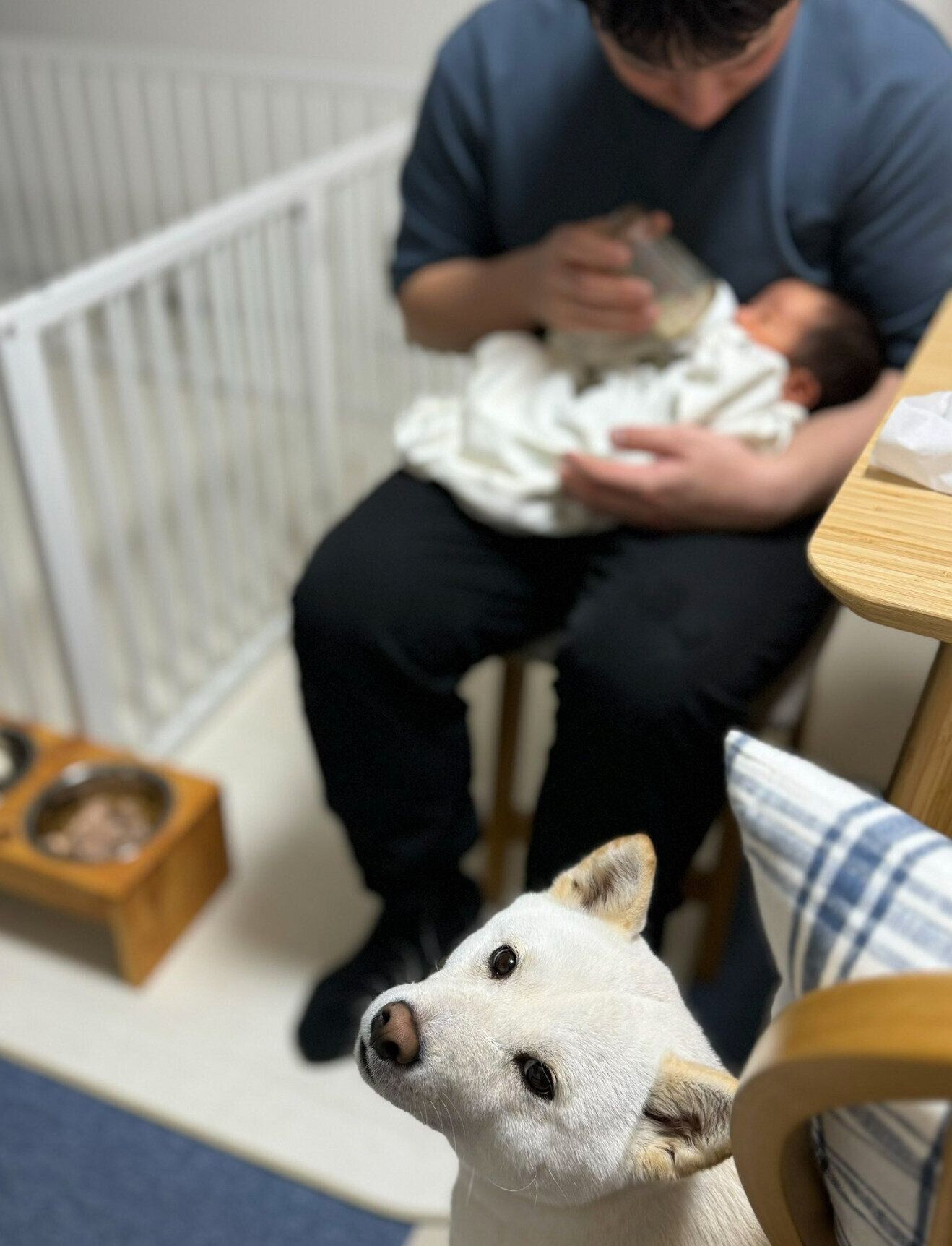 同じ誕生日だというケンシロウくんたち