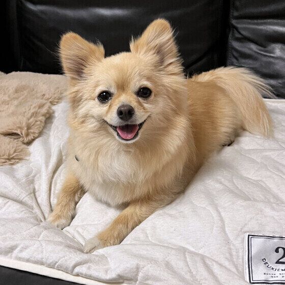 笑顔のもかちゃん