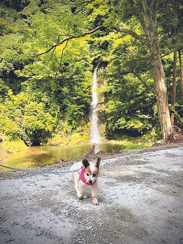 5月の誕生日記念に家族旅行に行ったとき。いつもと違う風景を見て松ケンくんは大はしゃぎ