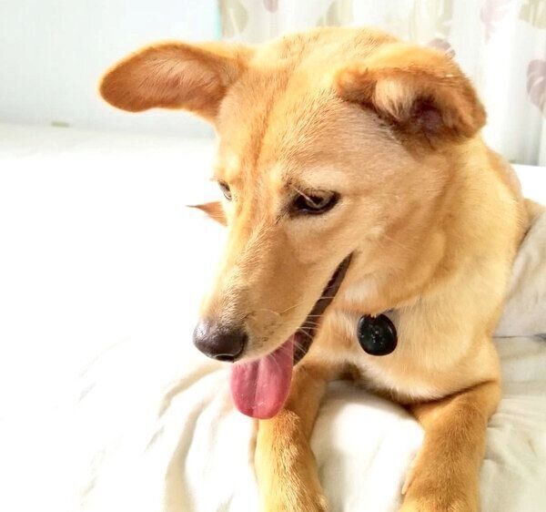 笑顔のおこめちゃん