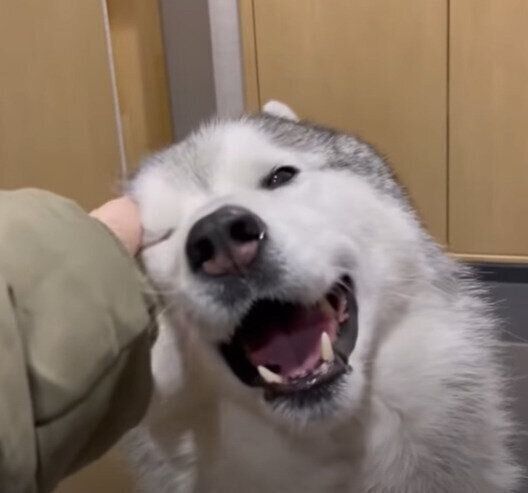 嬉しそうな文太くん♪