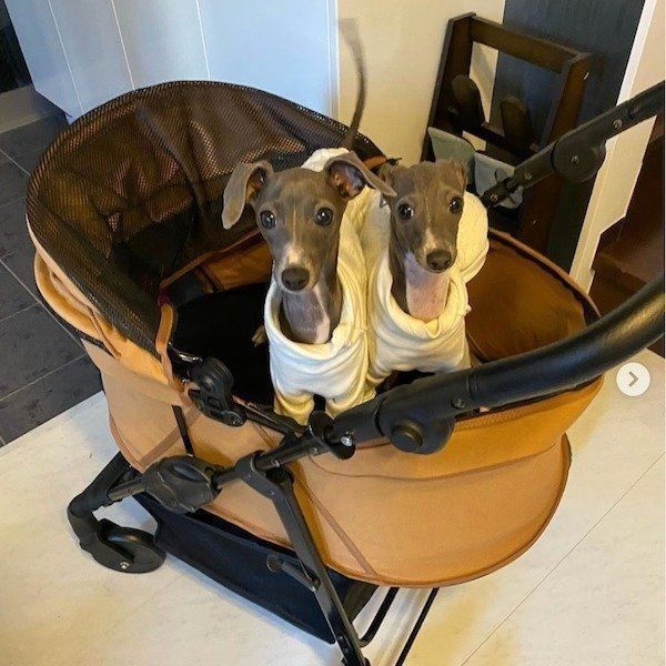 詩ちゃんと雫ちゃん