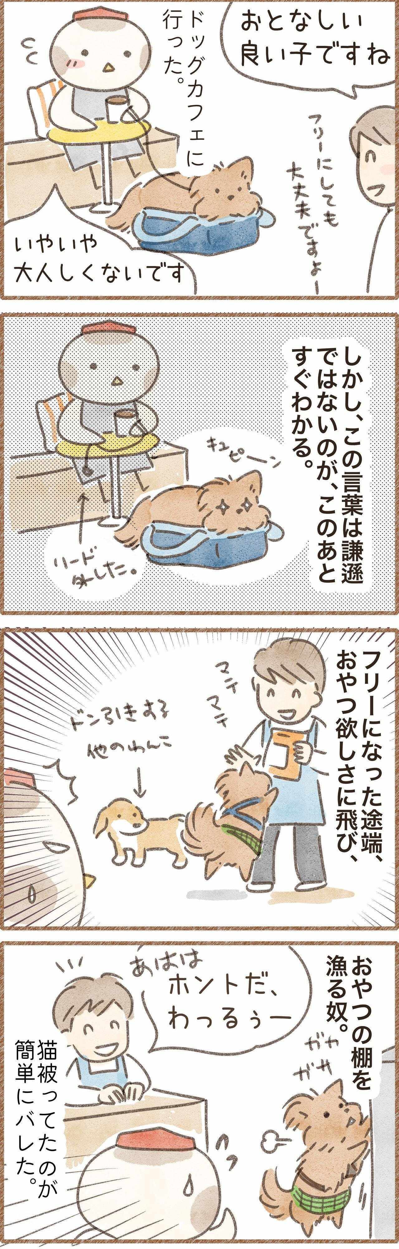 ドッグカフェでやらかした話の漫画
