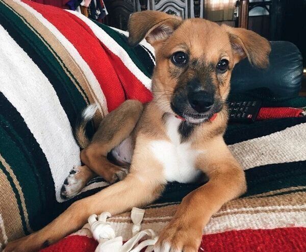 くつろぐ海くん