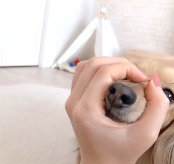 輪っかの中にお鼻を入れるうにちゃん