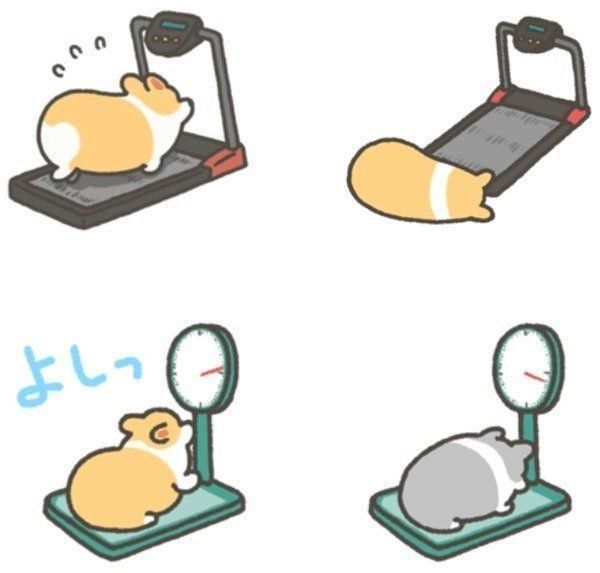 「1コギの毎日フィットネス」