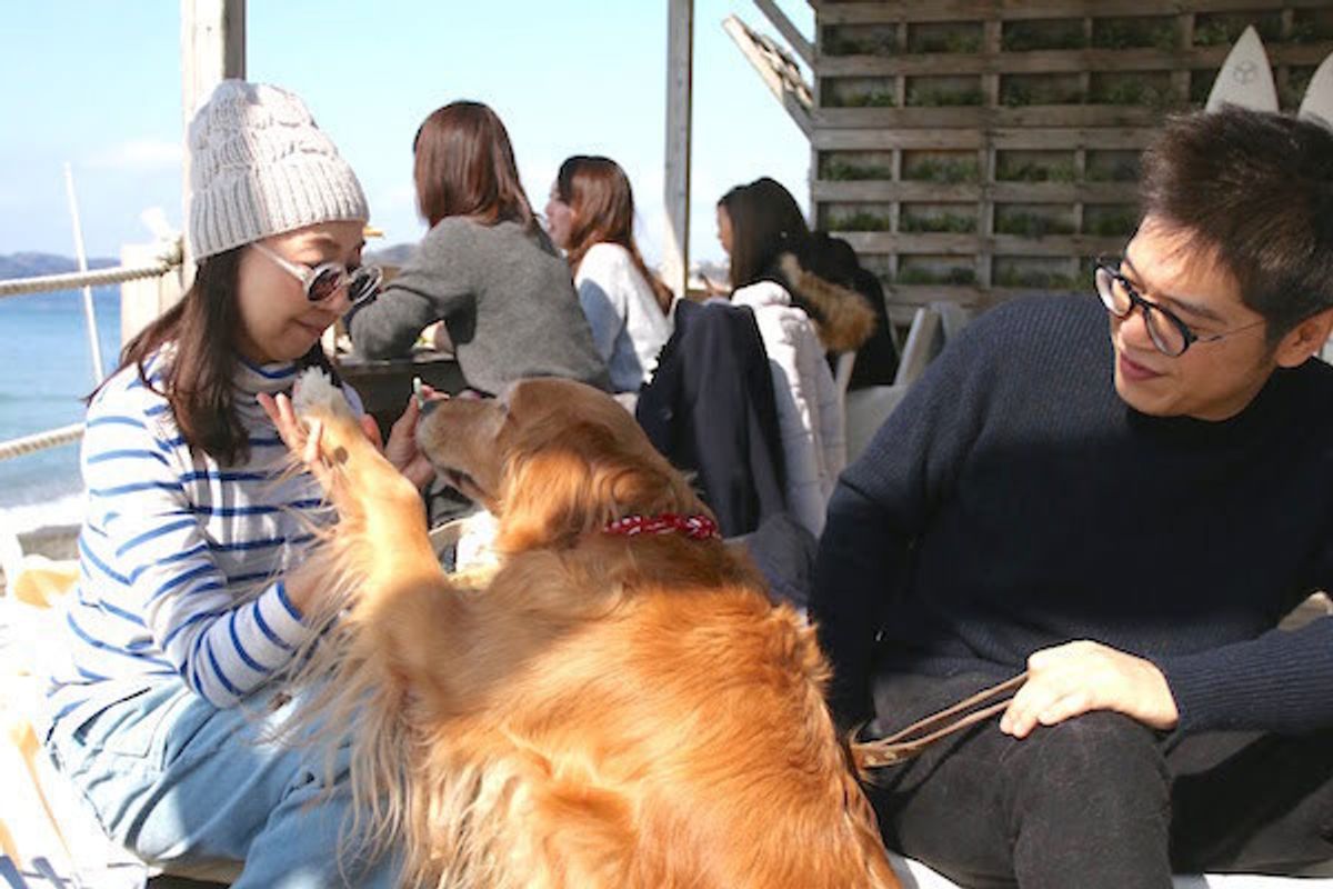やっと出会えた 里子と里親から本当の家族に 保護犬を迎えるということ いぬのきもちweb Magazine やっと出会えた 里子と里親から本当の家族に 保護犬を迎えるということ いぬのきもちweb Magazine
