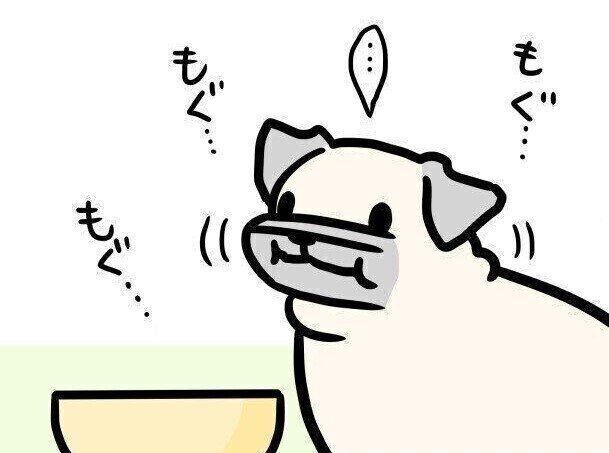 【連載】パグ犬・めー vol.112