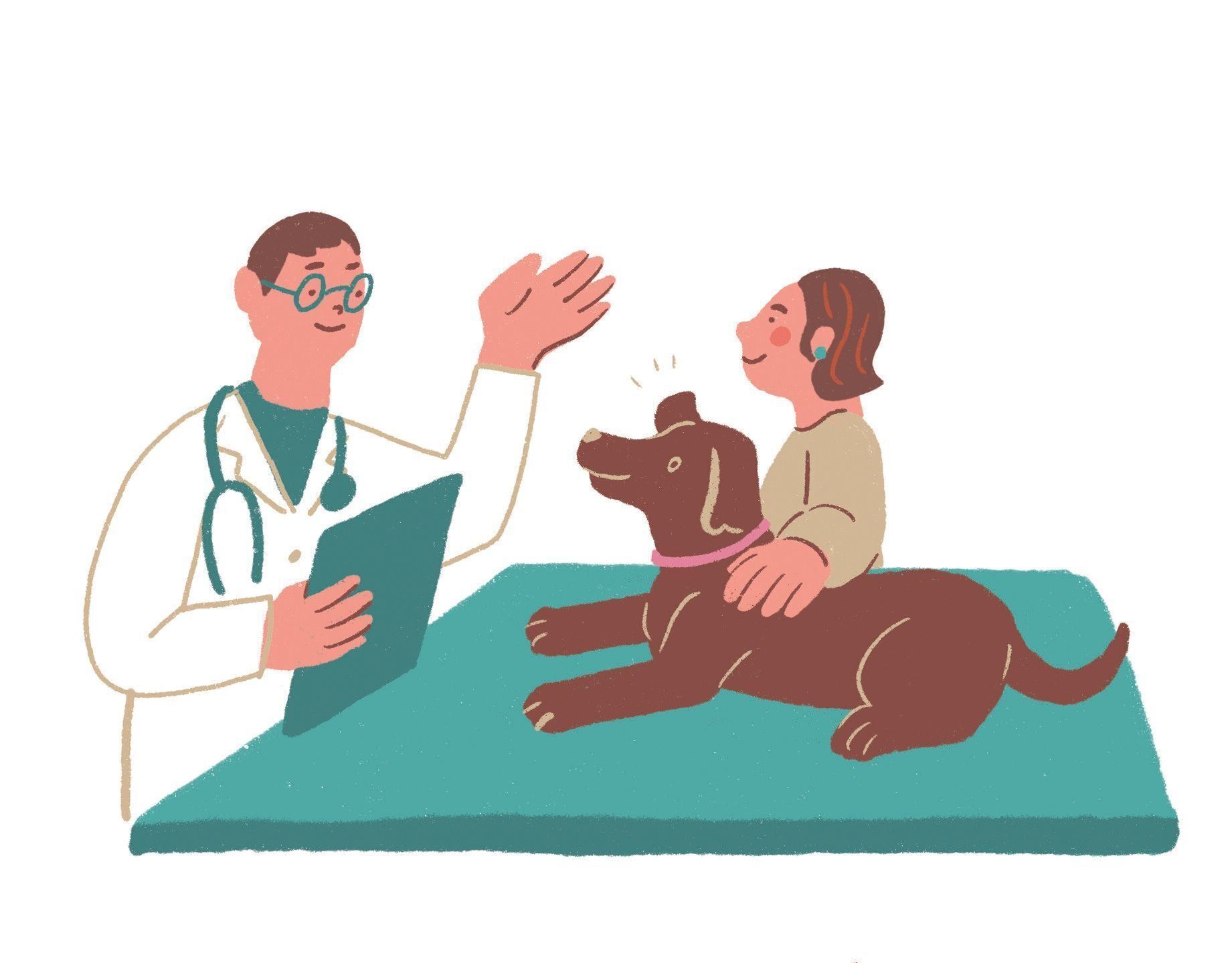 イラスト／ヤマグチカヨ