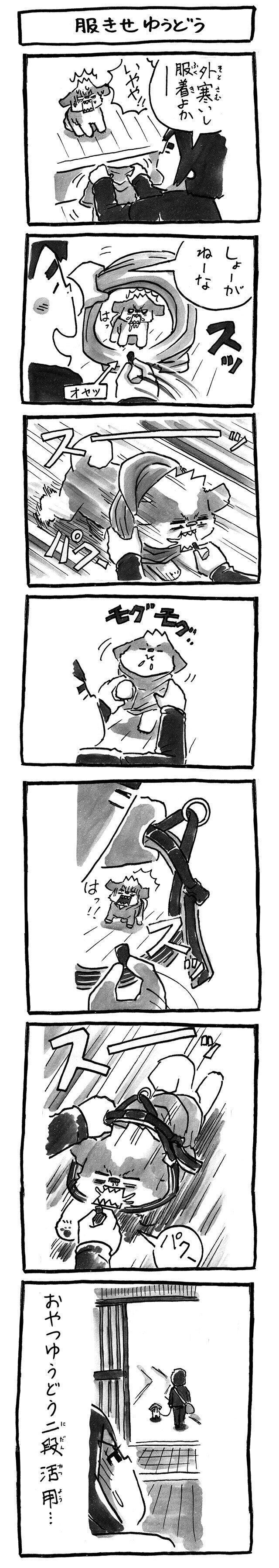 連載「シーズー犬のてんぽ」
