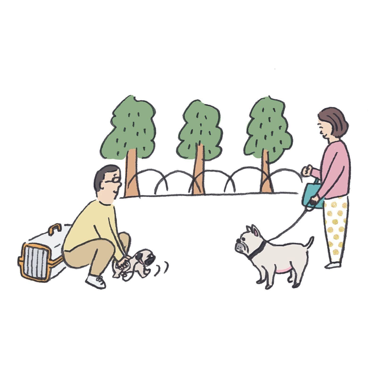 イラスト／松元まり子