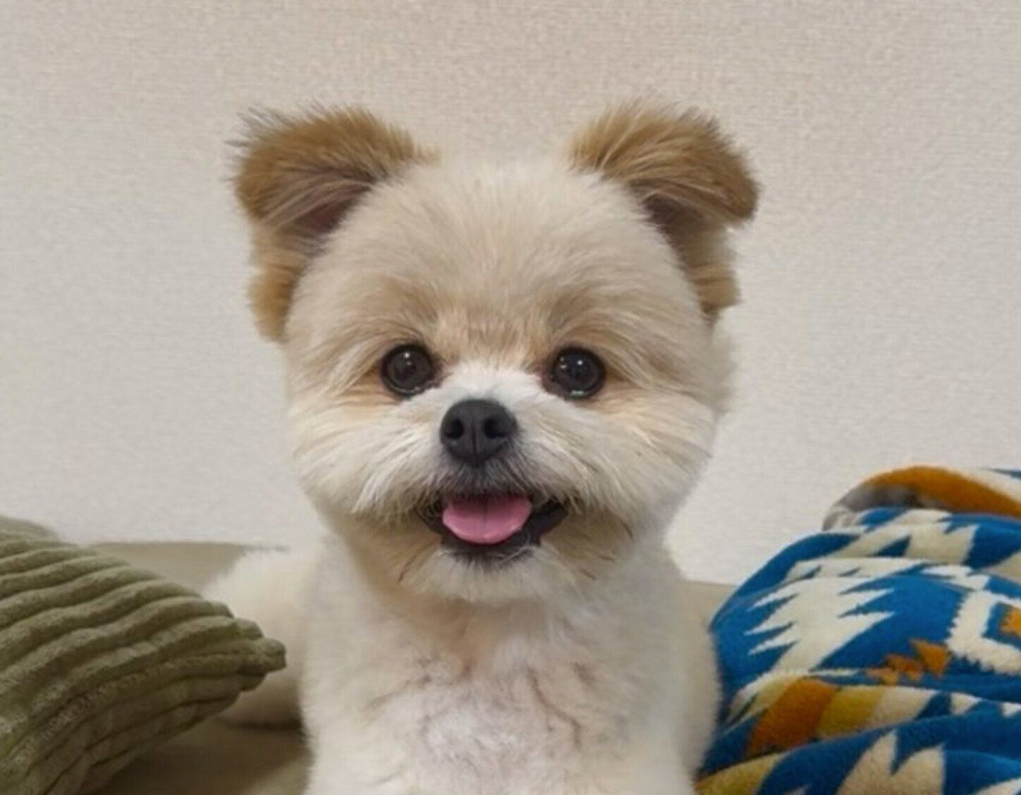 ニコニコ顔のちくわくん